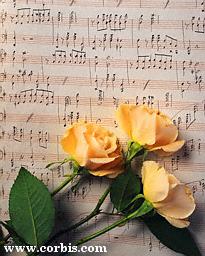 Handwritten Music and Yellow Roses
